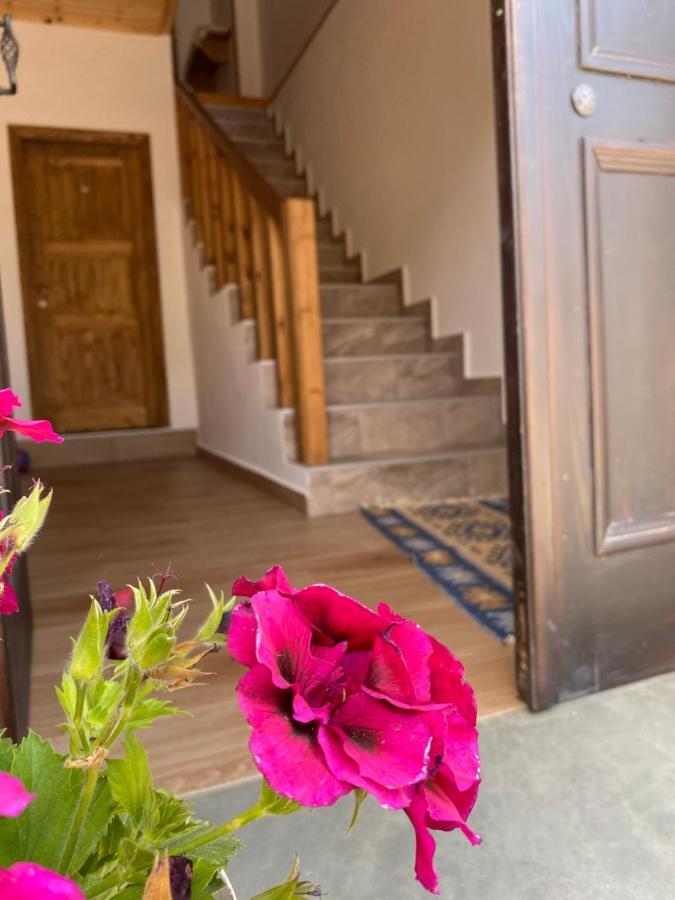 Guesthouse Riverside Berat Luaran gambar
